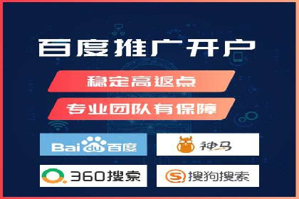 SEM推广案例：揭秘高ROI背后的策略与实践